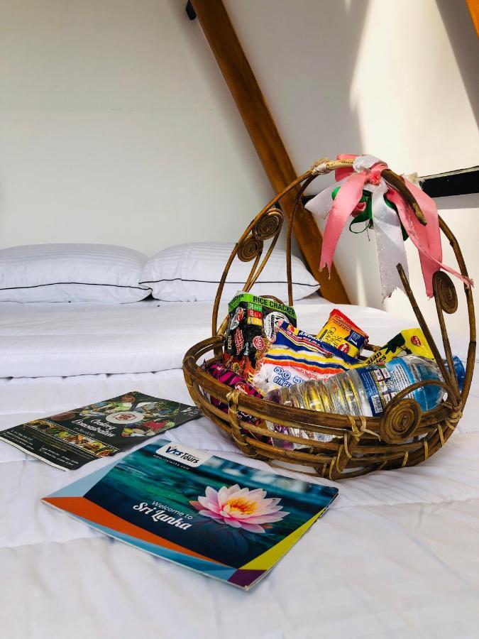 インドゥルワ The We2 "Wildwood Elegance Escape" Bed & Breakfast エクステリア 写真